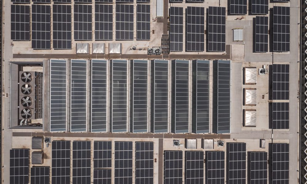 pexels-photo-8782730 GEI pexels-photo-8782730 GEI